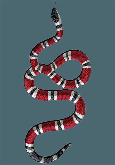 gucci maltrato animal|gucci snakes for sale.